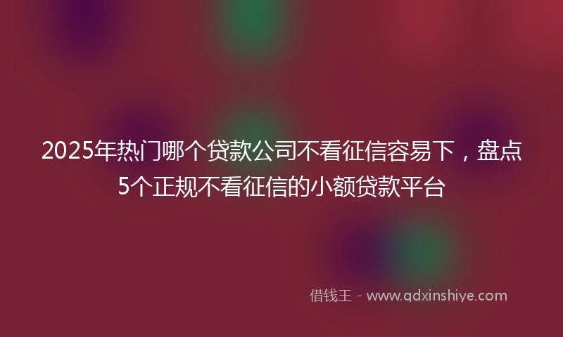 2025年热门哪个贷款公司不看征信容易下，盘点5个正规不看征信的小额贷款平台