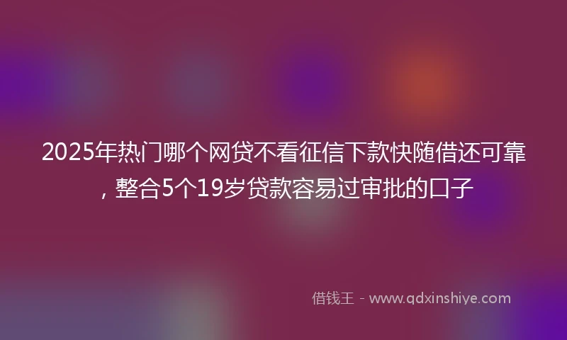 2025年热门哪个网贷不看征信下款快随借还可靠，整合5个19岁贷款容易过审批的口子
