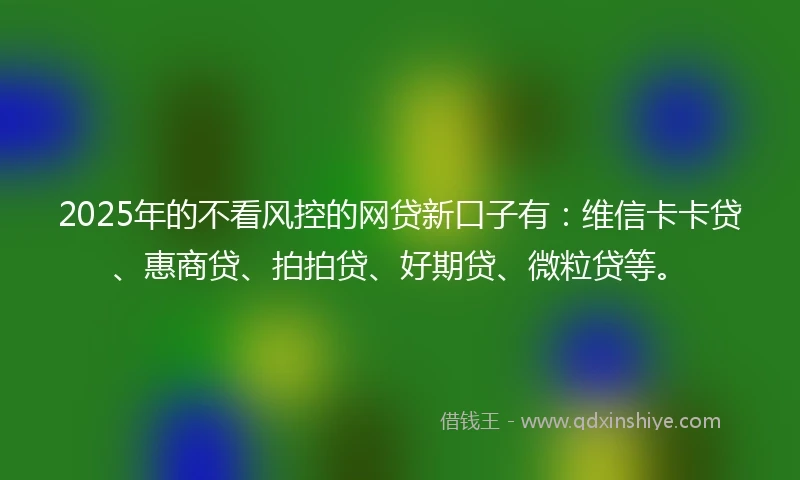 2025年的不看风控的网贷新口子有：维信卡卡贷、惠商贷、拍拍贷、好期贷、微粒贷等。
