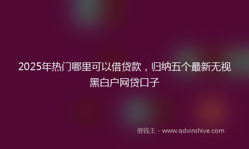 2025年热门哪里可以借贷款，归纳五个最新无视黑白户网贷口子