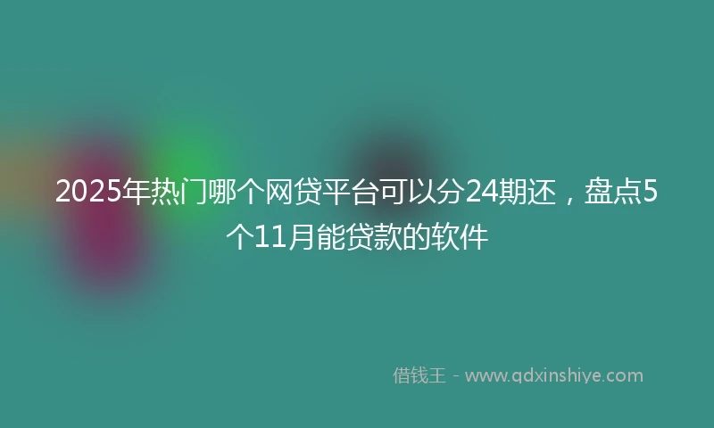 2025年热门哪个网贷平台可以分24期还，盘点5个11月能贷款的软件