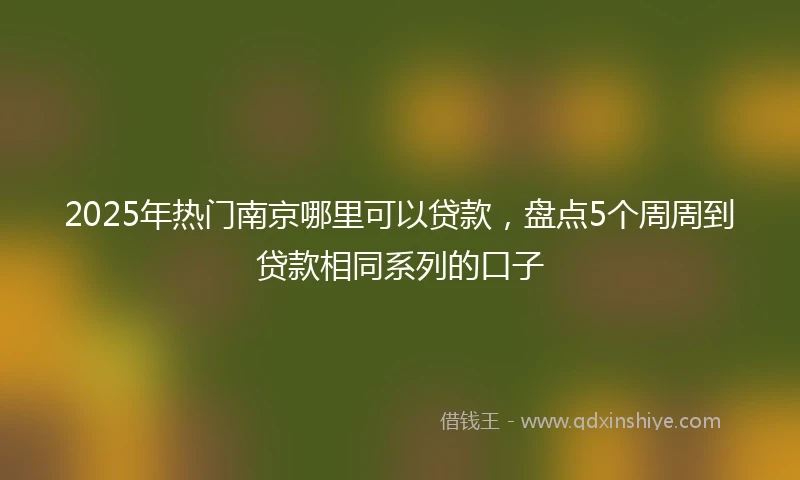 2025年热门南京哪里可以贷款，盘点5个周周到贷款相同系列的口子