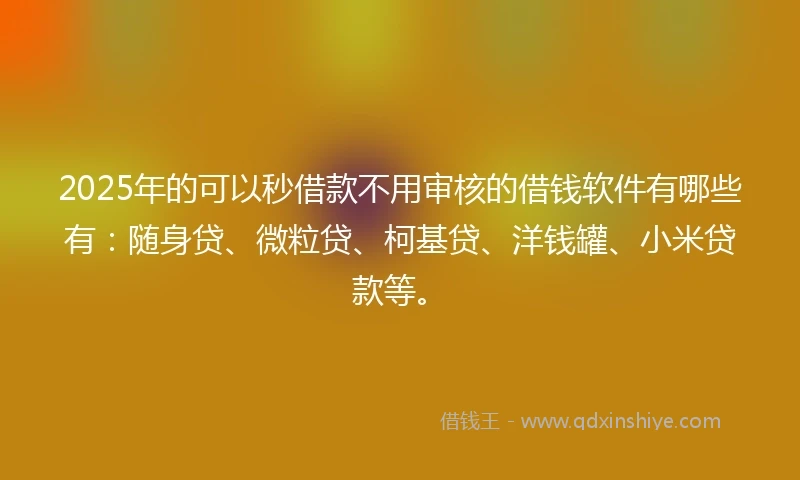 2025年的可以秒借款不用审核的借钱软件有哪些有：随身贷、微粒贷、柯基贷、洋钱罐、小米贷款等。