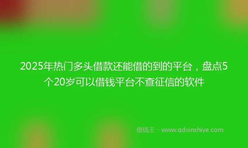 2025年热门多头借款还能借的到的平台，盘点5个20岁可以借钱平台不查征信的软件