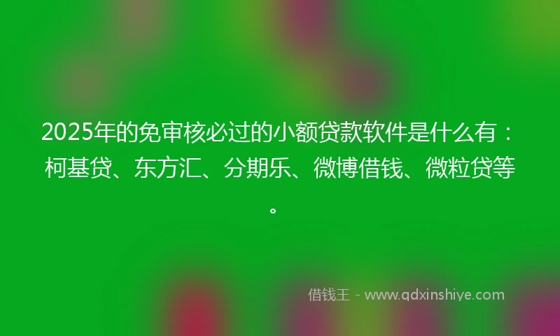 2025年的免审核必过的小额贷款软件是什么有：柯基贷、东方汇、分期乐、微博借钱、微粒贷等。