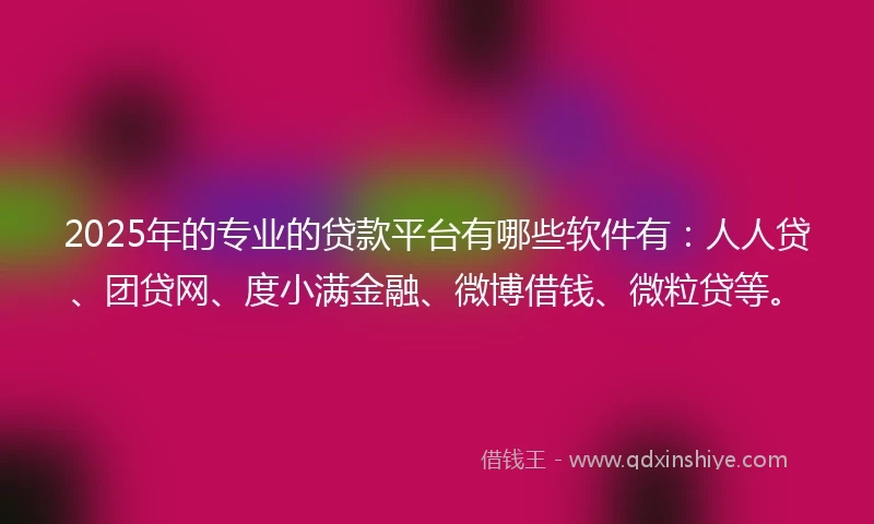 2025年的专业的贷款平台有哪些软件有：人人贷、团贷网、度小满金融、微博借钱、微粒贷等。