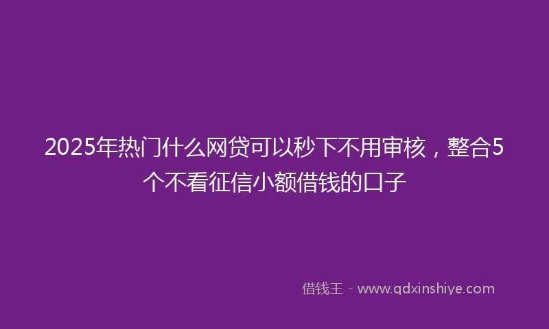 2025年热门什么网贷可以秒下不用审核，整合5个不看征信小额借钱的口子