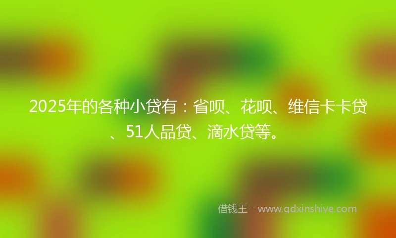 2025年的各种小贷有：省呗、花呗、维信卡卡贷、51人品贷、滴水贷等。