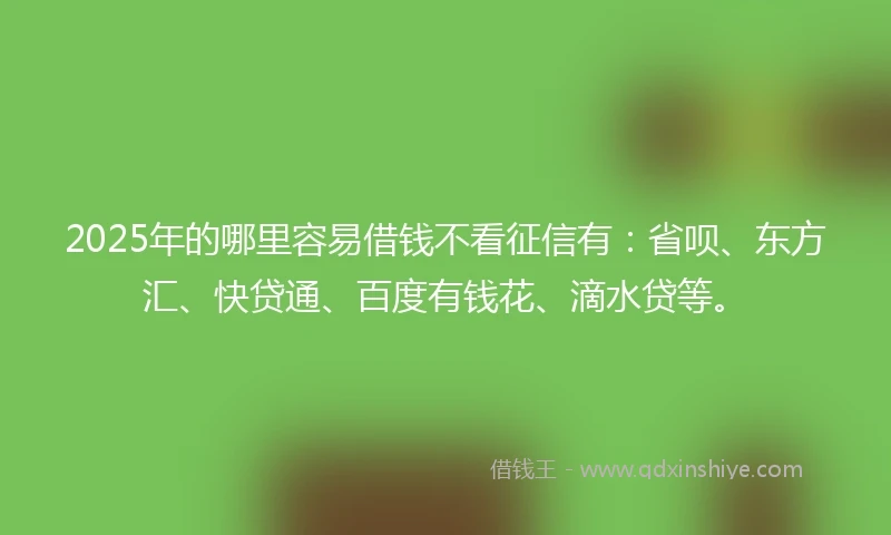 2025年的哪里容易借钱不看征信有：省呗、东方汇、快贷通、百度有钱花、滴水贷等。