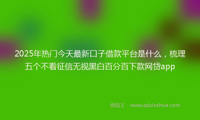 2025年热门今天最新口子借款平台是什么，梳理五个不看征信无视黑白百分百下款网贷app