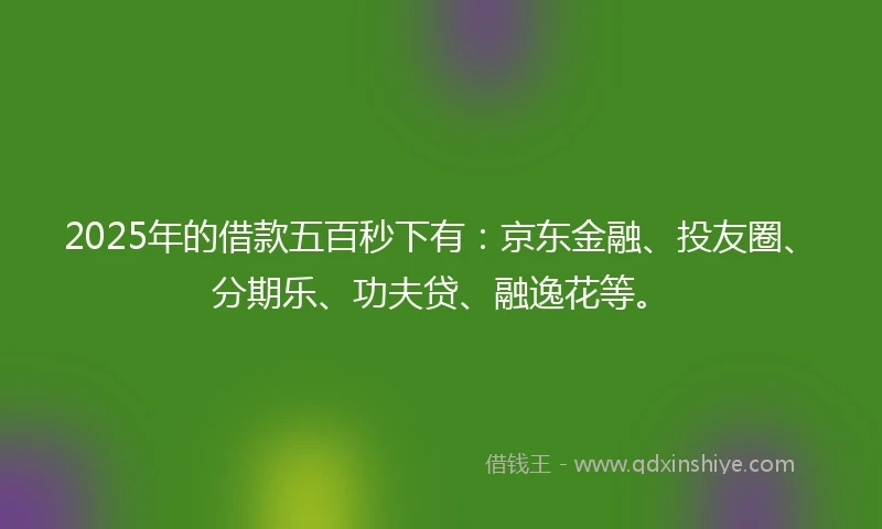 2025年的借款五百秒下有:京东金融、投友圈、分期乐、功夫贷、融逸花等。