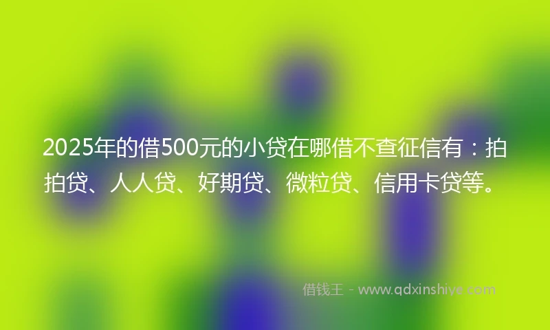 2025年的借500元的小贷在哪借不查征信有:拍拍贷、人人贷、好期贷、微粒贷、信用卡贷等。