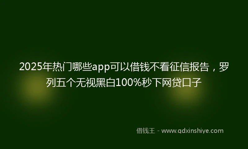 2025年热门哪些app可以借钱不看征信报告，罗列五个无视黑白100%秒下网贷口子