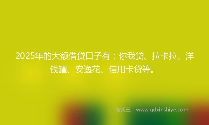2025年的大额借贷口子有：你我贷、拉卡拉、洋钱罐、安逸花、信用卡贷等。