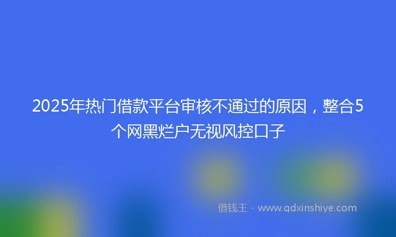 2025年热门借款平台审核不通过的原因，整合5个网黑烂户无视风控口子