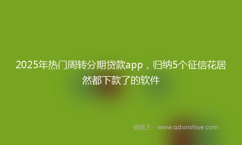 2025年热门周转分期贷款app，归纳5个征信花居然都下款了的软件