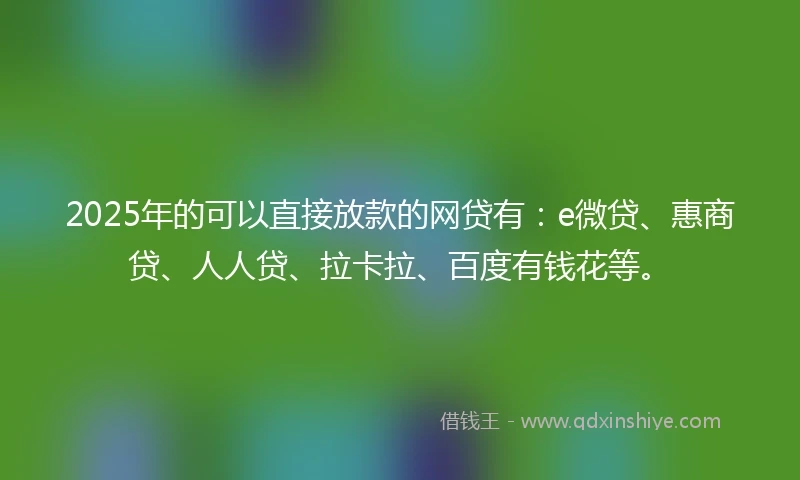 2025年的可以直接放款的网贷有：e微贷、惠商贷、人人贷、拉卡拉、百度有钱花等。