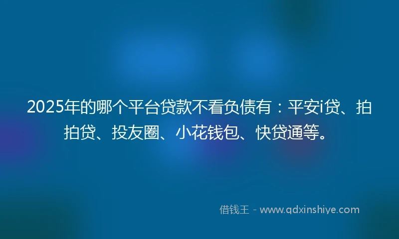 2025年的哪个平台贷款不看负债有：平安i贷、拍拍贷、投友圈、小花钱包、快贷通等。