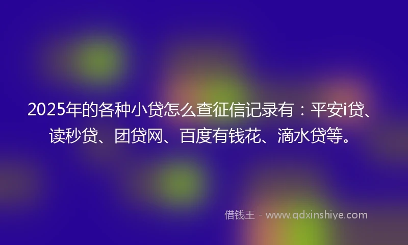 2025年的各种小贷怎么查征信记录有：平安i贷、读秒贷、团贷网、百度有钱花、滴水贷等。