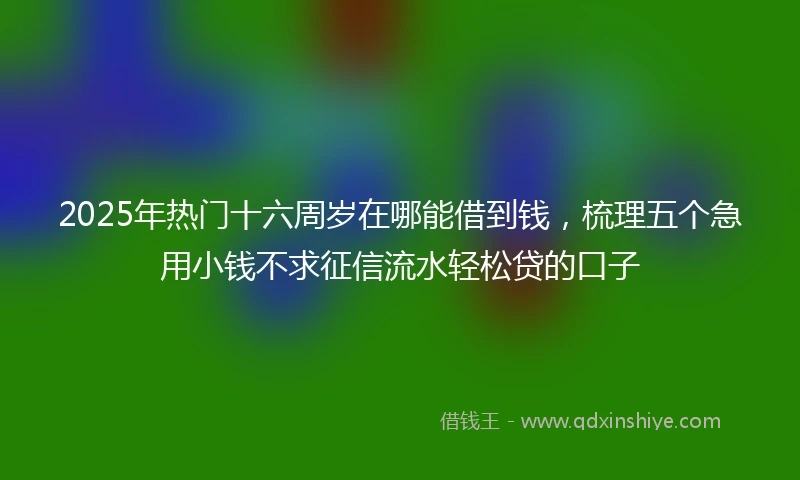 2025年热门十六周岁在哪能借到钱，梳理五个急用小钱不求征信流水轻松贷的口子