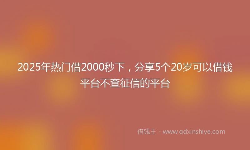 2025年热门借2000秒下，分享5个20岁可以借钱平台不查征信的平台