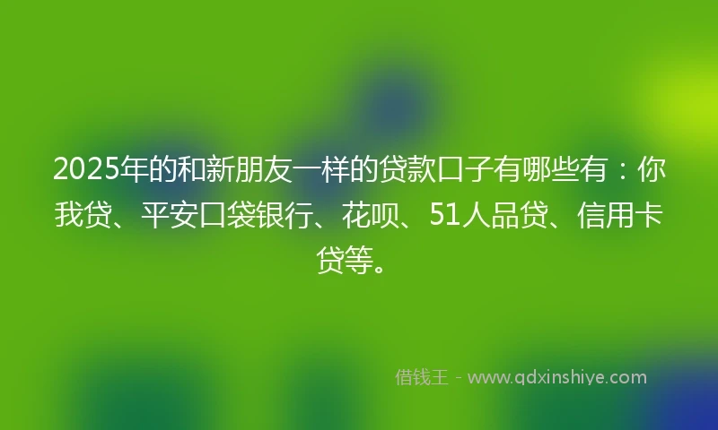 2025年的和新朋友一样的贷款口子有哪些有：你我贷、平安口袋银行、花呗、51人品贷、信用卡贷等。