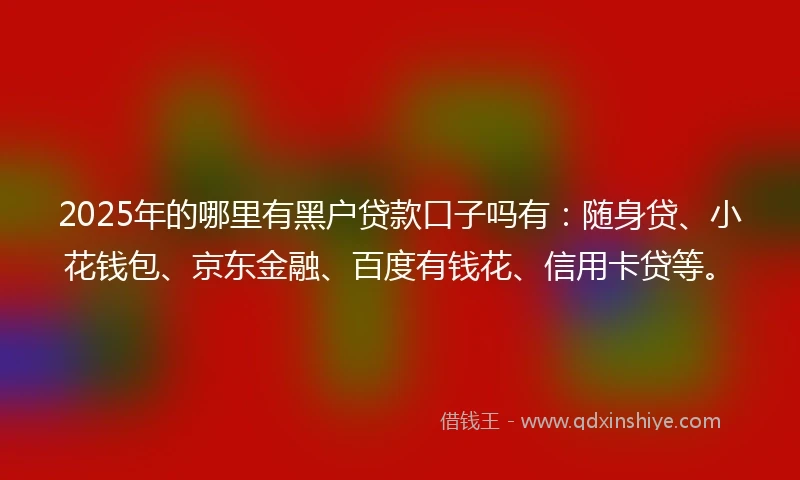 2025年的哪里有黑户贷款口子吗有：随身贷、小花钱包、京东金融、百度有钱花、信用卡贷等。