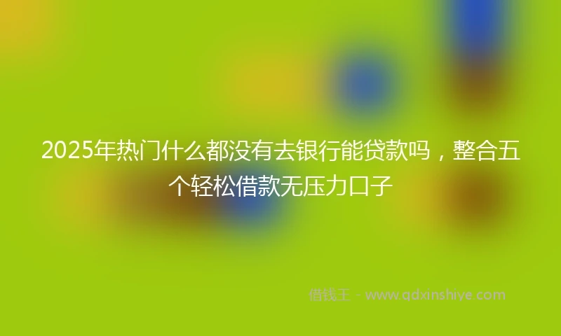 2025年热门什么都没有去银行能贷款吗，整合五个轻松借款无压力口子