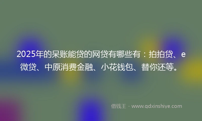 2025年的呆账能贷的网贷有哪些有：拍拍贷、e微贷、中原消费金融、小花钱包、替你还等。