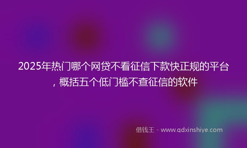 2025年热门哪个网贷不看征信下款快正规的平台，概括五个低门槛不查征信的软件