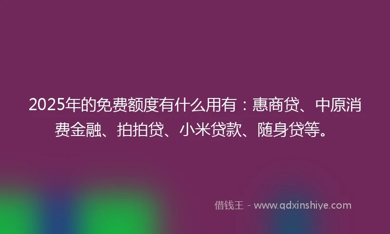 2025年的免费额度有什么用有:惠商贷、中原消费金融、拍拍贷、小米贷款、随身贷等。