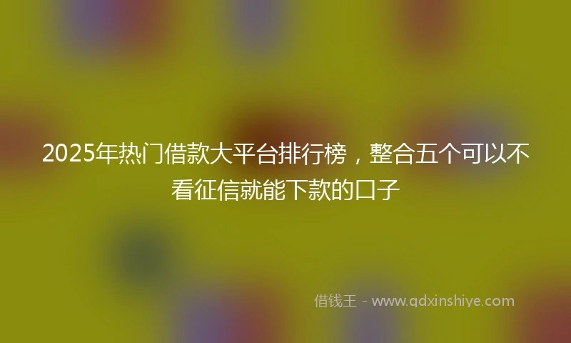 2025年热门借款大平台排行榜，整合五个可以不看征信就能下款的口子