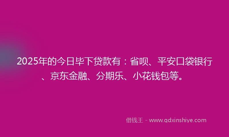 2025年的今日毕下贷款有:省呗、平安口袋银行、京东金融、分期乐、小花钱包等。