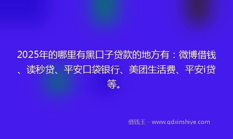 2025年的哪里有黑口子贷款的地方有：微博借钱、读秒贷、平安口袋银行、美团生活费、平安i贷等。
