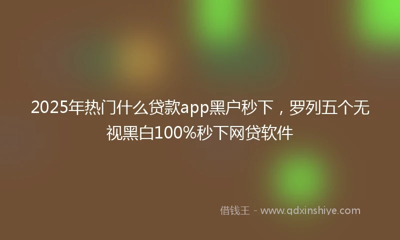 2025年热门什么贷款app黑户秒下,罗列五个无视黑白100%秒下网贷软件