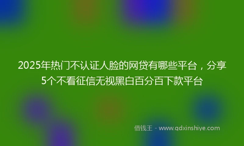 2025年热门不认证人脸的网贷有哪些平台,分享5个不看征信无视黑白百分百下款平台