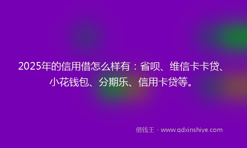 2025年的信用借怎么样有：省呗、维信卡卡贷、小花钱包、分期乐、信用卡贷等。