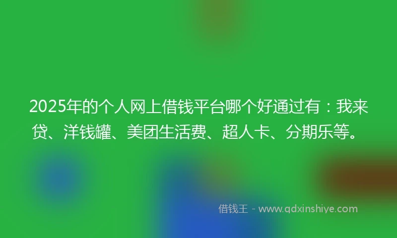 2025年的个人网上借钱平台哪个好通过有：我来贷、洋钱罐、美团生活费、超人卡、分期乐等。