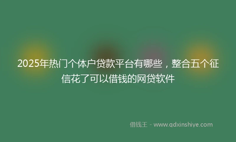 2025年热门个体户贷款平台有哪些，整合五个征信花了可以借钱的网贷软件