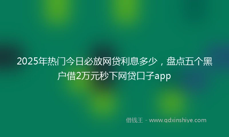 2025年热门今日必放网贷利息多少，盘点五个黑户借2万元秒下网贷口子app