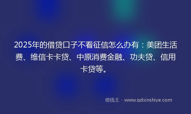 2025年的借贷口子不看征信怎么办有：美团生活费、维信卡卡贷、中原消费金融、功夫贷、信用卡贷等。
