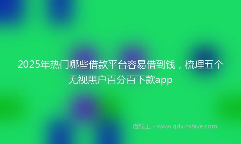 2025年热门哪些借款平台容易借到钱，梳理五个无视黑户百分百下款app