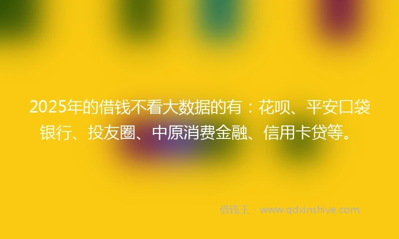 2025年的借钱不看大数据的有：花呗、平安口袋银行、投友圈、中原消费金融、信用卡贷等。
