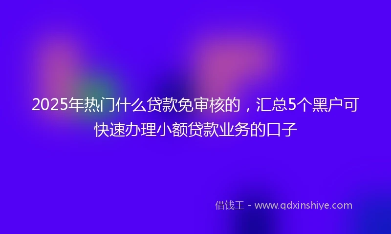 2025年热门什么贷款免审核的，汇总5个黑户可快速办理小额贷款业务的口子