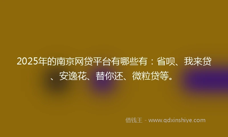 2025年的南京网贷平台有哪些有：省呗、我来贷、安逸花、替你还、微粒贷等。