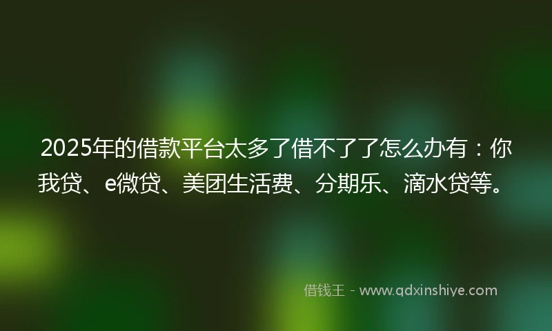 2025年的借款平台太多了借不了了怎么办有：你我贷、e微贷、美团生活费、分期乐、滴水贷等。