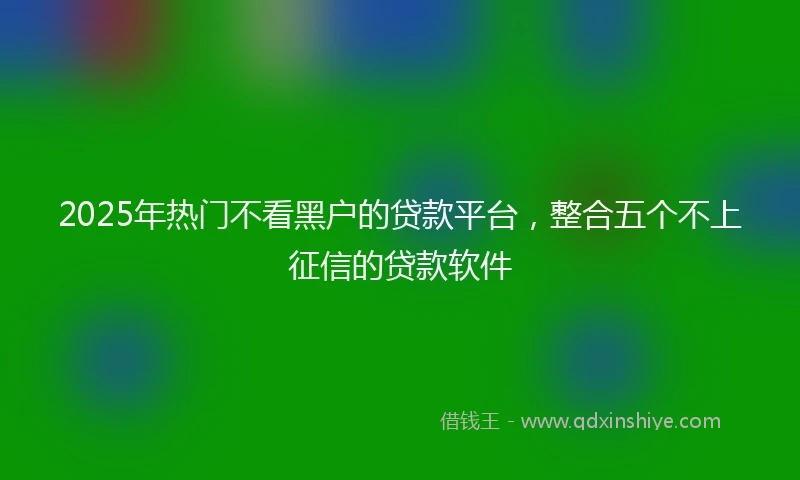 2025年热门不看黑户的贷款平台，整合五个不上征信的贷款软件