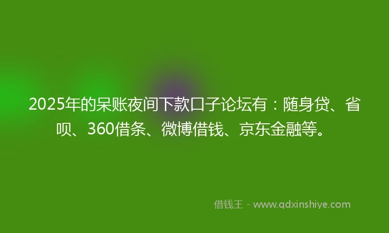 2025年的呆账夜间下款口子论坛有：随身贷、省呗、360借条、微博借钱、京东金融等。