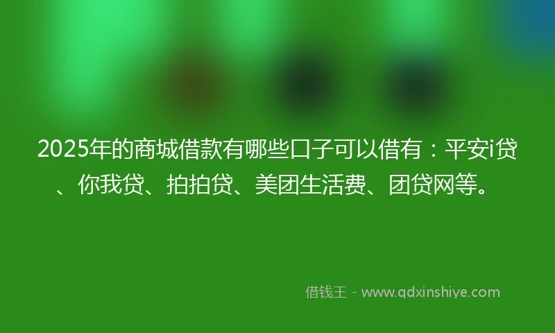 2025年的商城借款有哪些口子可以借有：平安i贷、你我贷、拍拍贷、美团生活费、团贷网等。