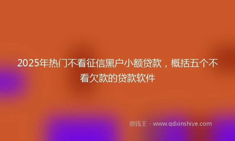 2025年热门不看征信黑户小额贷款，概括五个不看欠款的贷款软件